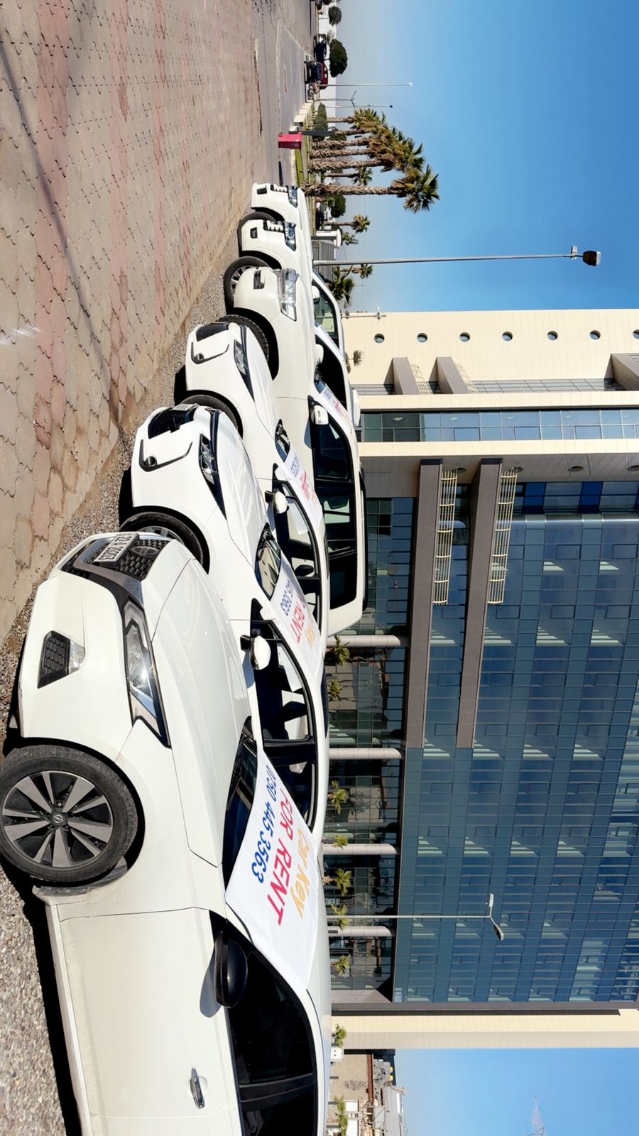 CarKey fleet side view